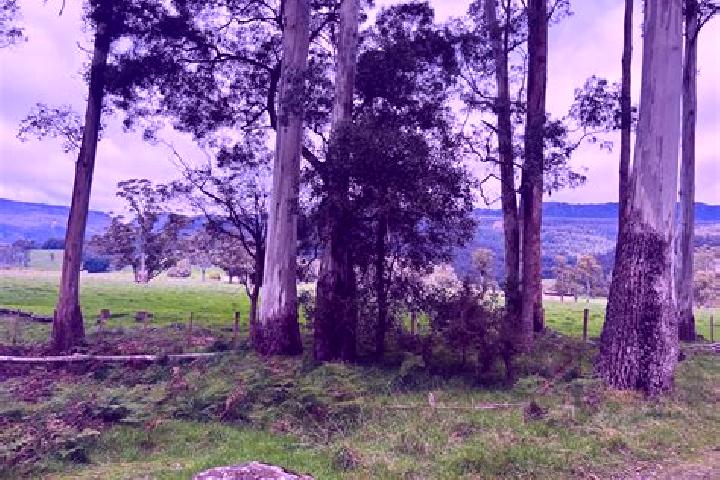 Ellie, 33 — Escort in Mole Creek, Australia