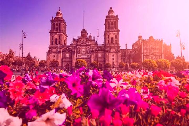 Ellie, 34 — Escort in Ciudad de Huitzuco, Mexico