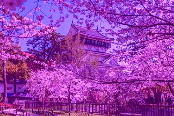Ellie, 34 — Escort in Kitakyushu, Japan