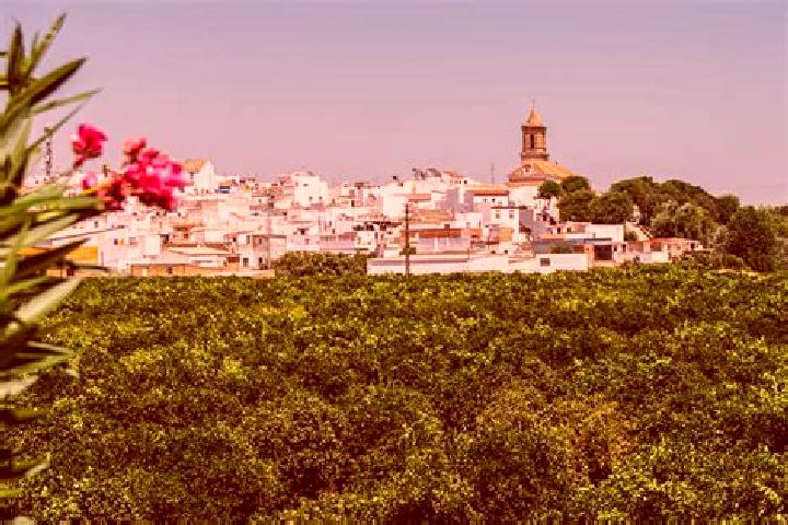 Ellie, 35 — Escort in Cantillana, Spain