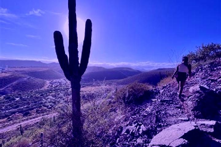 Ellie, 35 — Escort in Cerro de Piedra, Mexico