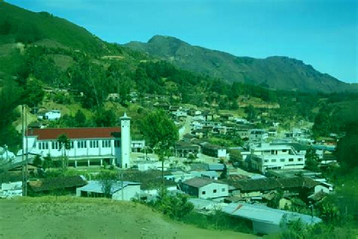 Ellie, 35 — Escort in Chilla, Ecuador