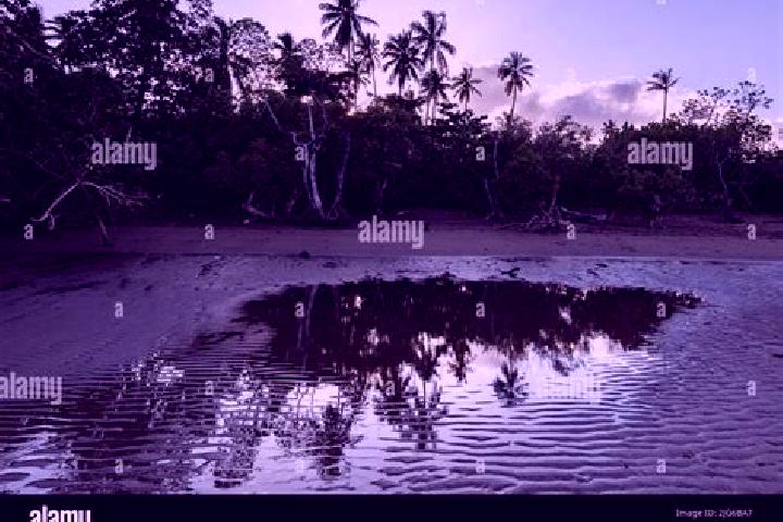 Ellie, 35 — Escort in Poroani, Mayotte