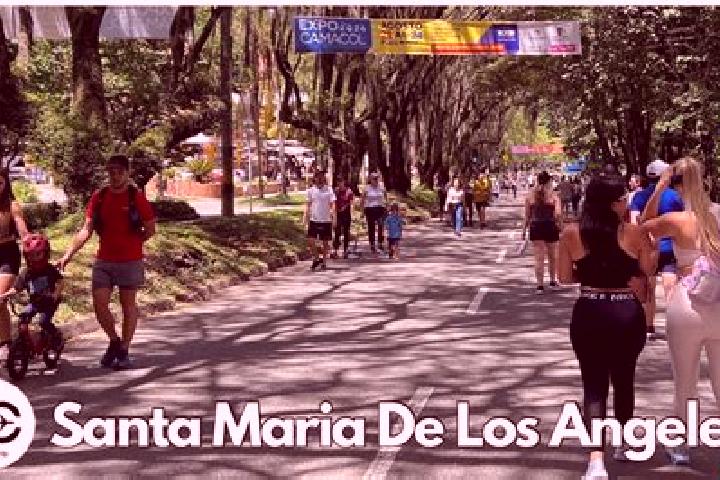 Ellie, 35 — Escort in Santa Maria de los Angeles, Mexico