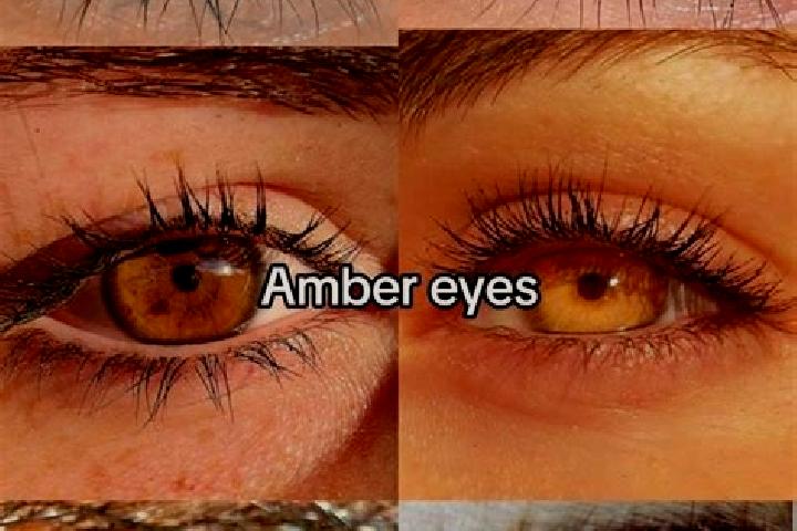 Ellie, 36, a chestnut amber-eyed indian companion based in Pweto. Offering CIM, Deep French Kissing, Party Girl, Massage, Travel Companion. Available for inc...