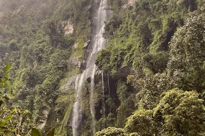 Ellie, 36 — Escort in Cachoeira Alta, Brazil
