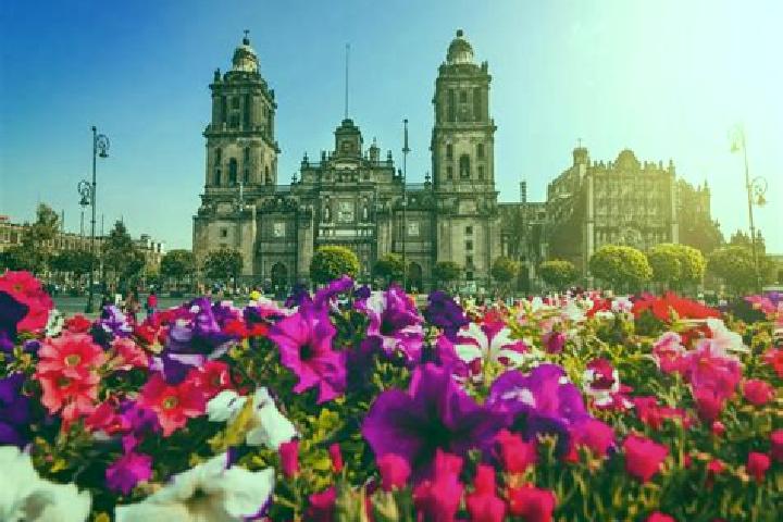 Ellie, 36 — Escort in Ciudad Hidalgo, Mexico