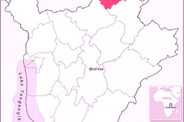 Ellie, 36 — Escort in Kirundo, Burundi