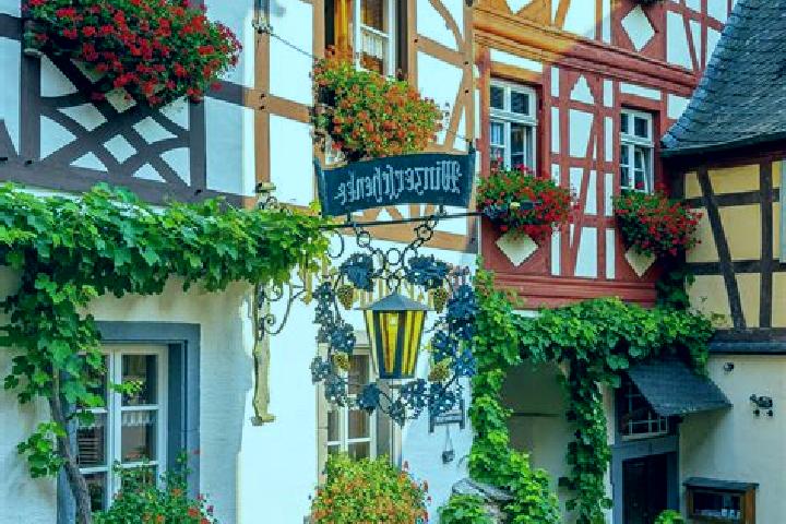 Ellie, 36 — Escort in Stoltebull, Germany