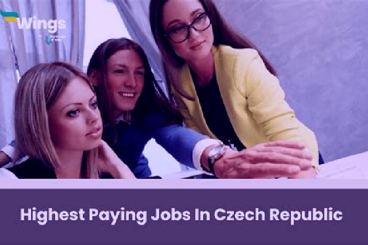 Ellie, 36 — Escort in Vyskytna, Czech Republic