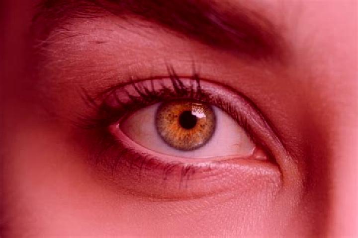 Ellie, 37, a black hazel-eyed mixed companion based in Genk. Offering Tantra, BDSM, Erotic Massage, Deep French Kissing. Available for incall and outcall, ov...