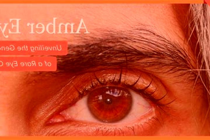 Ellie, 37, a red amber-eyed mixed companion based in Hilgenroth. Offering Fetish, Massage, OWO, Travel Companion. Available for incall and outcall, day and e...