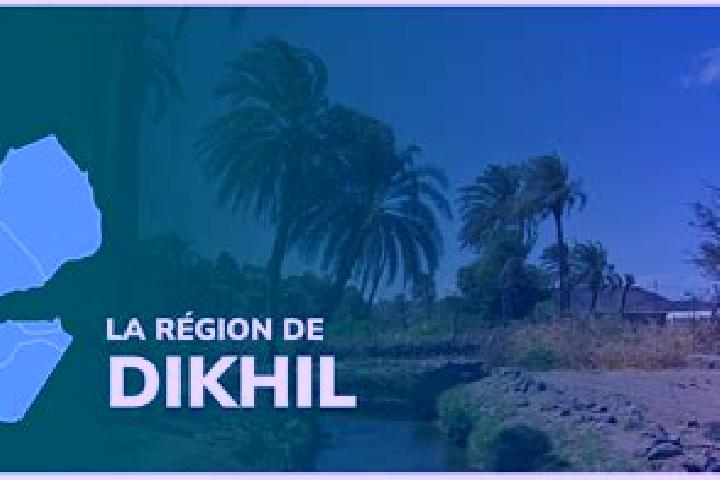 Ellie, 37 — Escort in Dikhil, Djibouti