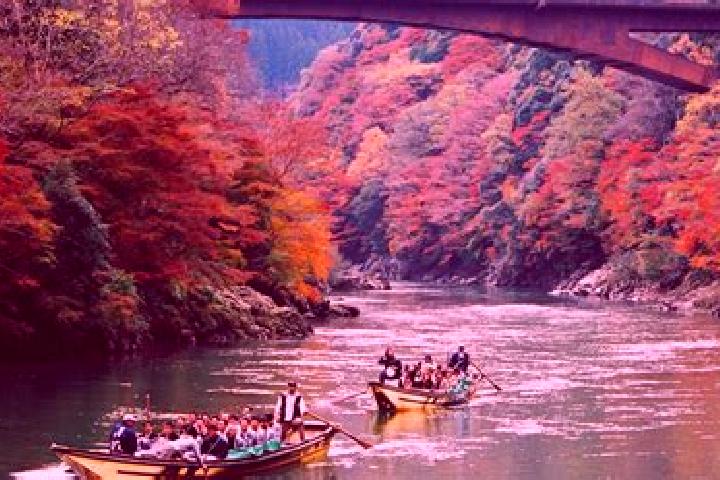 Ellie, 37 — Escort in Kameoka, Japan