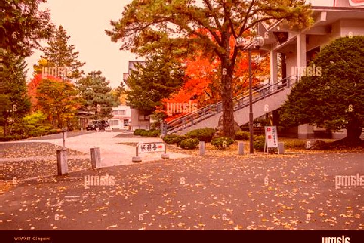 Ellie, 37 — Escort in Kitami, Japan