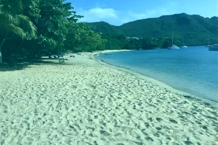 Ellie, 37 — Escort in Petit Bordel, Saint Vincent and the Grenadines
