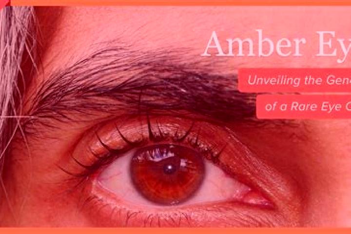 Ellie, 38, a red amber-eyed indian companion based in Bad Arolsen. Offering Domination, Couples, BDSM. Available for incall and outcall, overnight bookings a...