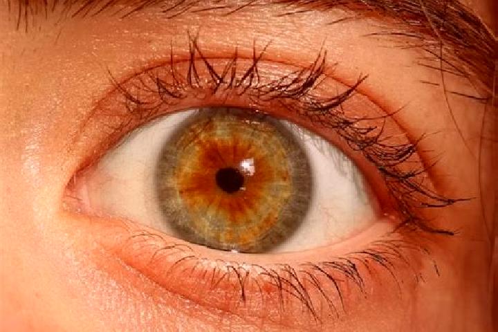 Ellie, 38, a red hazel-eyed mixed companion based in Faroesund. Offering Massage, Couples, BDSM, Fetish. Available for incall and outcall, day and evening da...