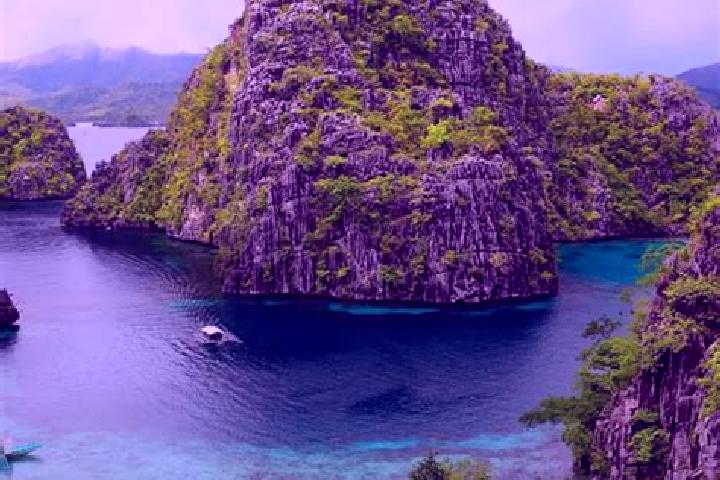 Ellie, 38 — Escort in Accusilian, Philippines