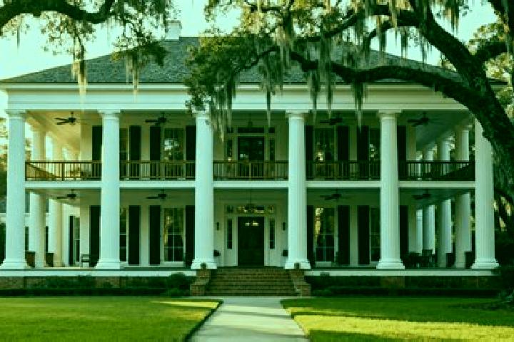 Ellie, 38 — Escort in Plantation, United States