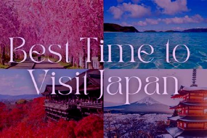 Ellie, 38 — Escort in Wanouchi, Japan