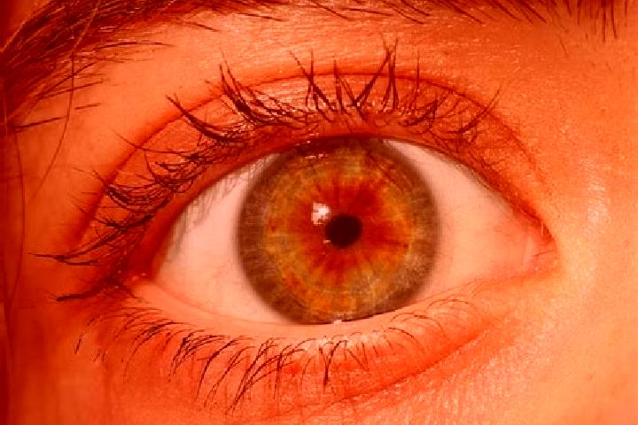 Ellie, 39, a red hazel-eyed indian companion based in Cerreto d Esi. Offering Fetish, OWO, BDSM, GFE. Available for incall and outcall, day and evening dates.