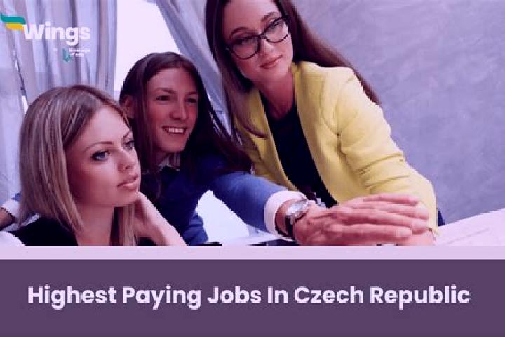 Ellie, 39 — Escort in Cetkovice, Czech Republic