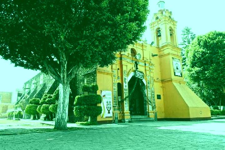 Ellie, 39 — Escort in Guadalupe Totoltepec, Mexico