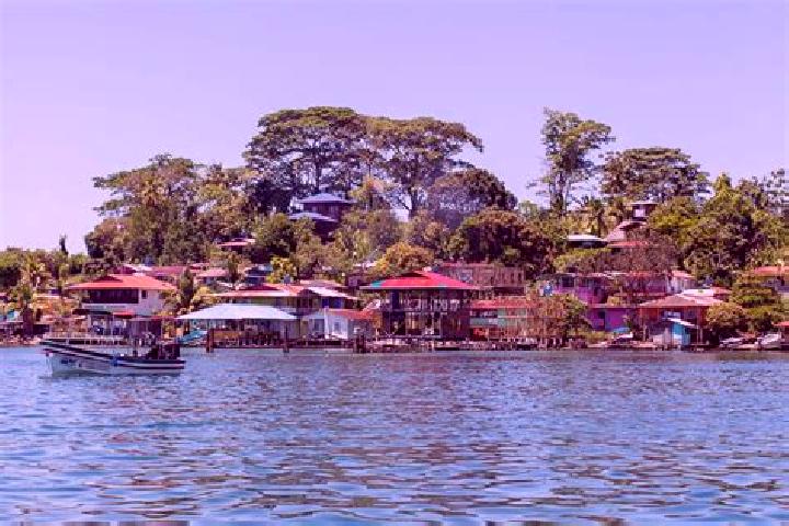 Ellie, 39 — Escort in Isla Bastimentos, Panama