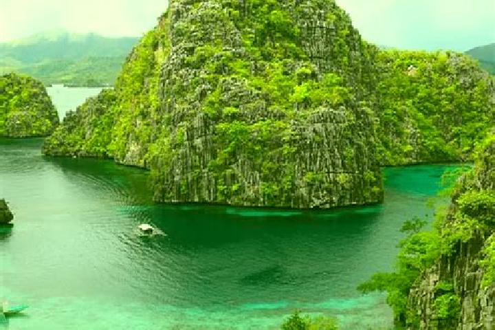 Ellie, 39 — Escort in Lombocan, Philippines
