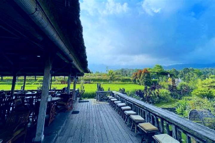Ellie, 39 — Escort in Penebel, Indonesia