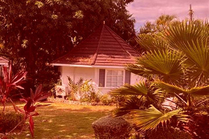 Ellie, 39 — Escort in Saint Ann s Bay, Jamaica