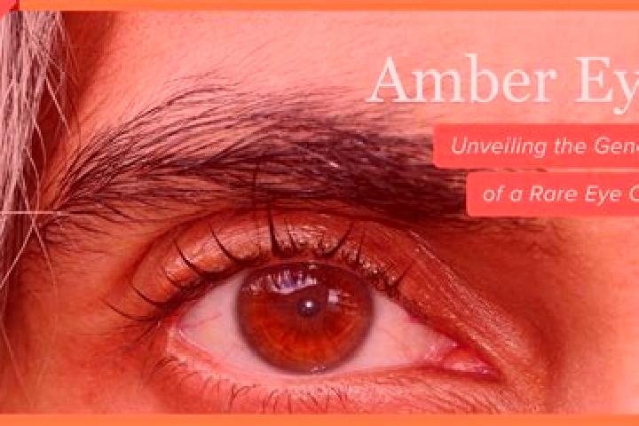 Emily, 20, a red amber-eyed middle eastern companion based in Maradun. Offering Duos, Girlfriend Experience, Couples, Domination. Available for incall and ou...