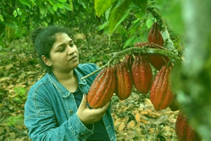 Emily, 20 — Escort in Cacao, Mexico