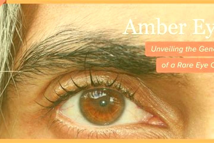 Emily, 21, a black amber-eyed mediterranean companion based in Gropparello. Offering Roleplay, Striptease, Erotic Massage. Available for incall and outcall, ...