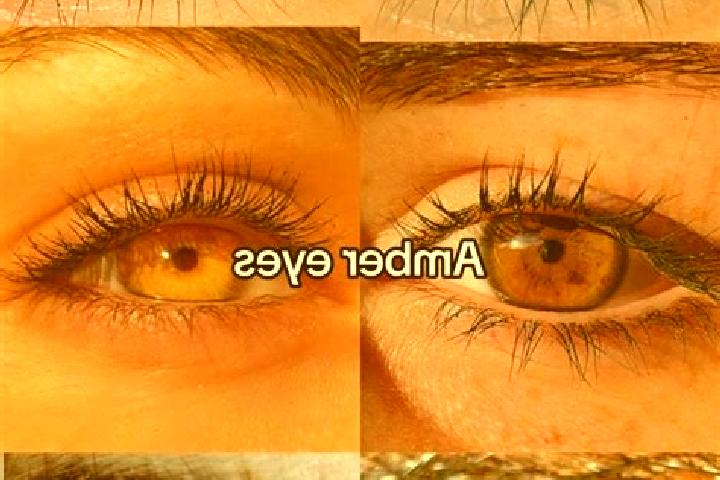 Emily, 21, a chestnut amber-eyed ebony companion based in GJong Hoi. Offering Travel Companion, BDSM, Dinner Date, Deep French Kissing. Available for incall ...
