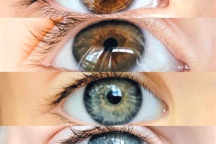 Emily, 22, a chestnut grey-eyed mixed companion based in Binonga. Offering Prostate Massage, Domination. Available for incall and outcall, day and evening da...