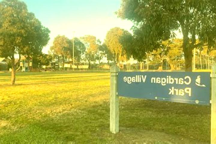 Emily, 22 — Escort in Cardigan Village, Australia