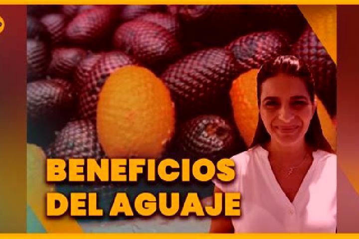 Emily, 23 — Escort in Los Aguajes, Mexico