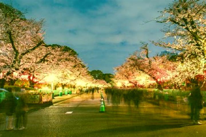 Emily, 24 — Escort in Koganei, Japan
