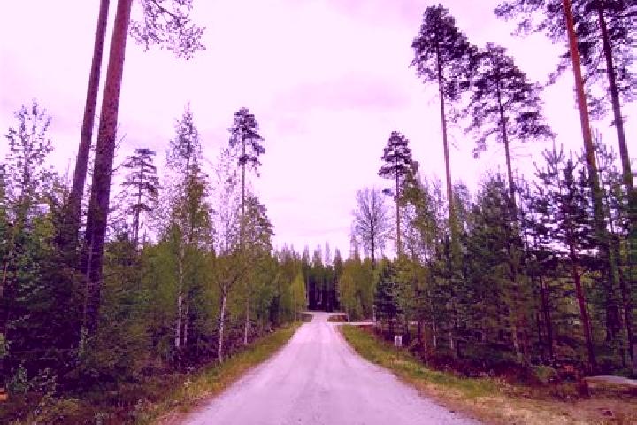 Emily, 24 — Escort in Pohjois-Hervanta, Finland
