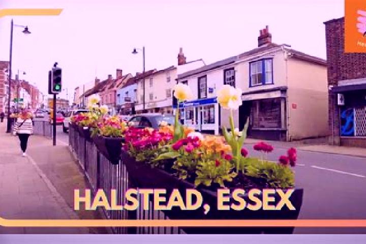 Emily, 25 — Escort in Halstead, United States