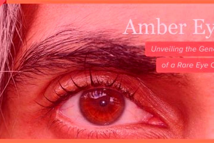 Emily, 26, a red amber-eyed mediterranean companion based in Valea Oilor. Offering Overnight, Domination, Couples. Available for incall and outcall, overnigh...