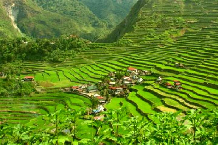Emily, 26 — Escort in Batad, Philippines