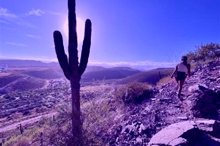 Emily, 26 — Escort in Cerro de la Cruz, Mexico
