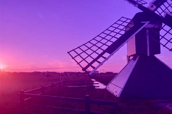 Emily, 26 — Escort in Zuidschermer, Netherlands
