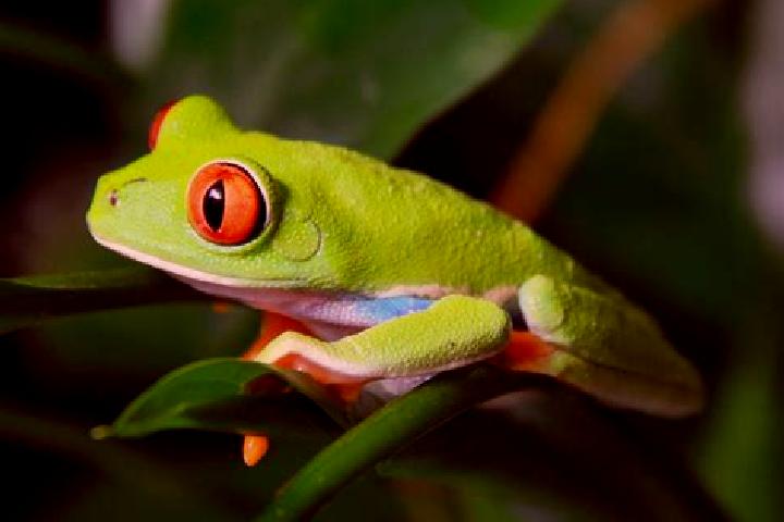 Emily, 27, a red green-eyed caribbean companion based in Marcon. Offering OWO, 69, Tantra, Fetish, Couples. Available for incall and outcall, overnight booki...