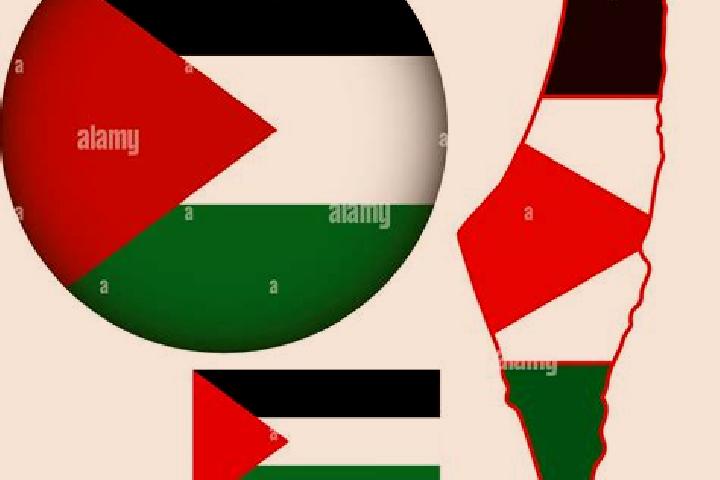 Emily, 27 — Escort in Bazzaryah, Palestine