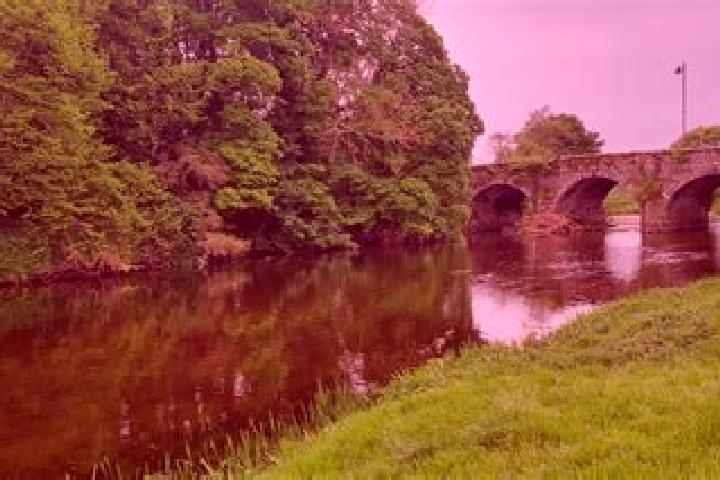 Emily, 27 — Escort in Bunclody, Ireland