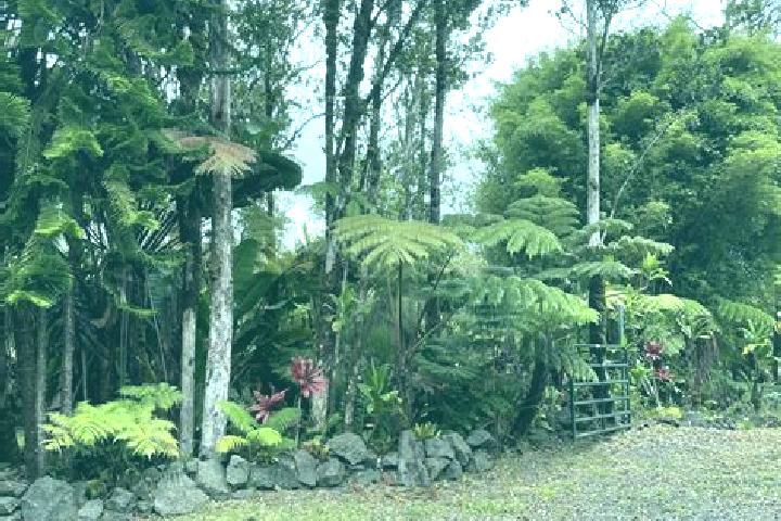 Emily, 28 — Escort in Fern Forest, United States